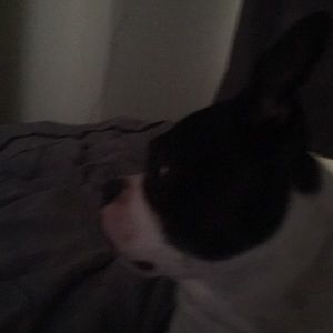 Meet your Posher, Vance